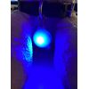 Colgante luminoso Reedog para perros y gatos