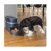 PetSafe® Smart Feed 2.0 Automatischer Futterspender