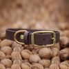 Halsband Bura dunkelbraun HAU good!