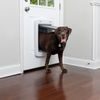 PetSafe® SmartDoor Connected drzwiczki dla psów i kotów