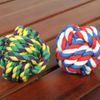 Reedog cotton knot, 26 cm