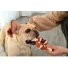 Reedog Bone, dental toy for dogs