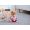 Reedog treat ball toy red