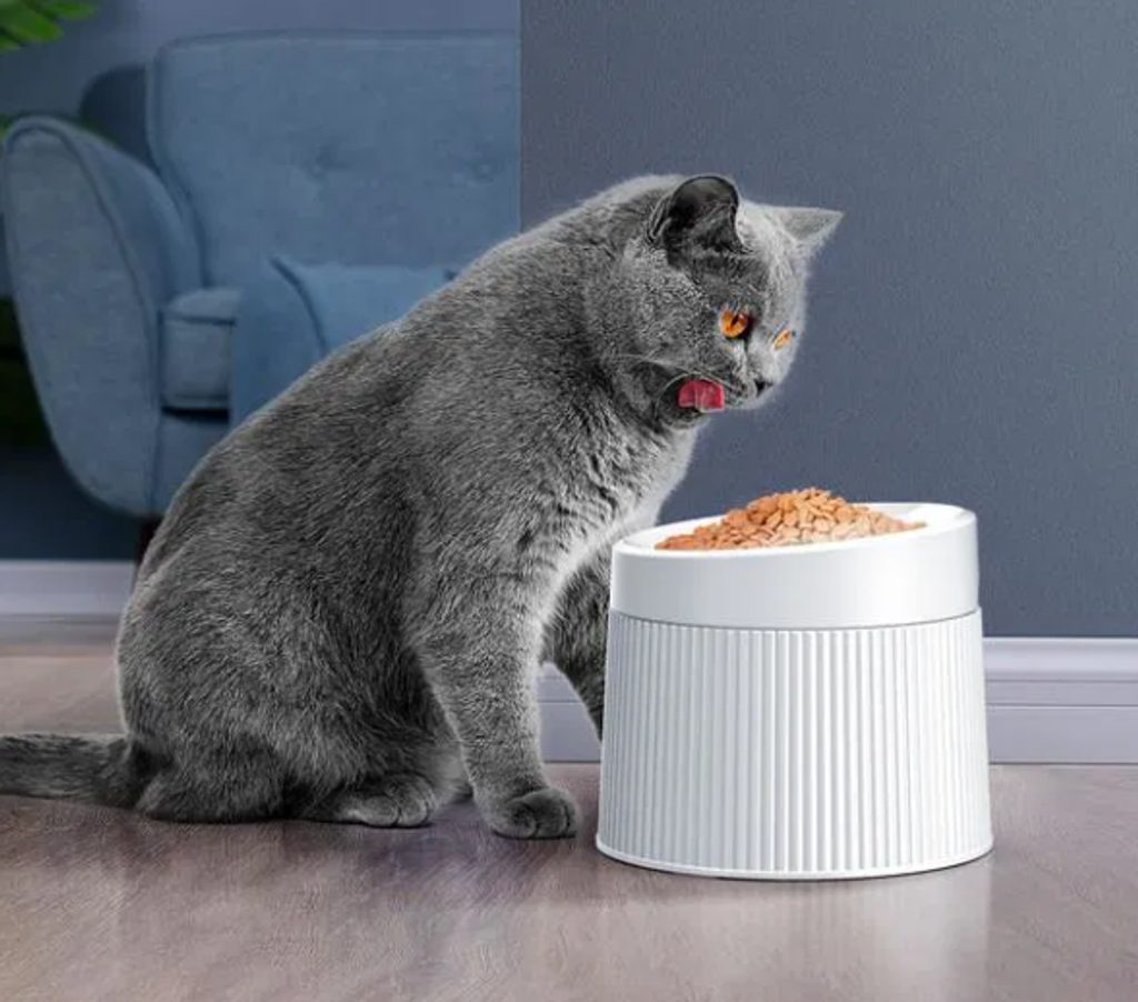 Ergonomic cat food bowl hot sale