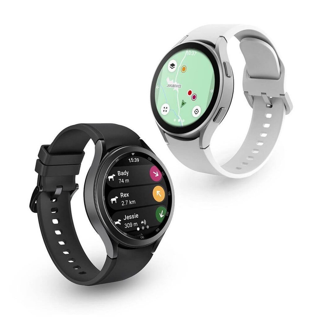 Tracking and training device for dogs DOG GPS X30T Short For