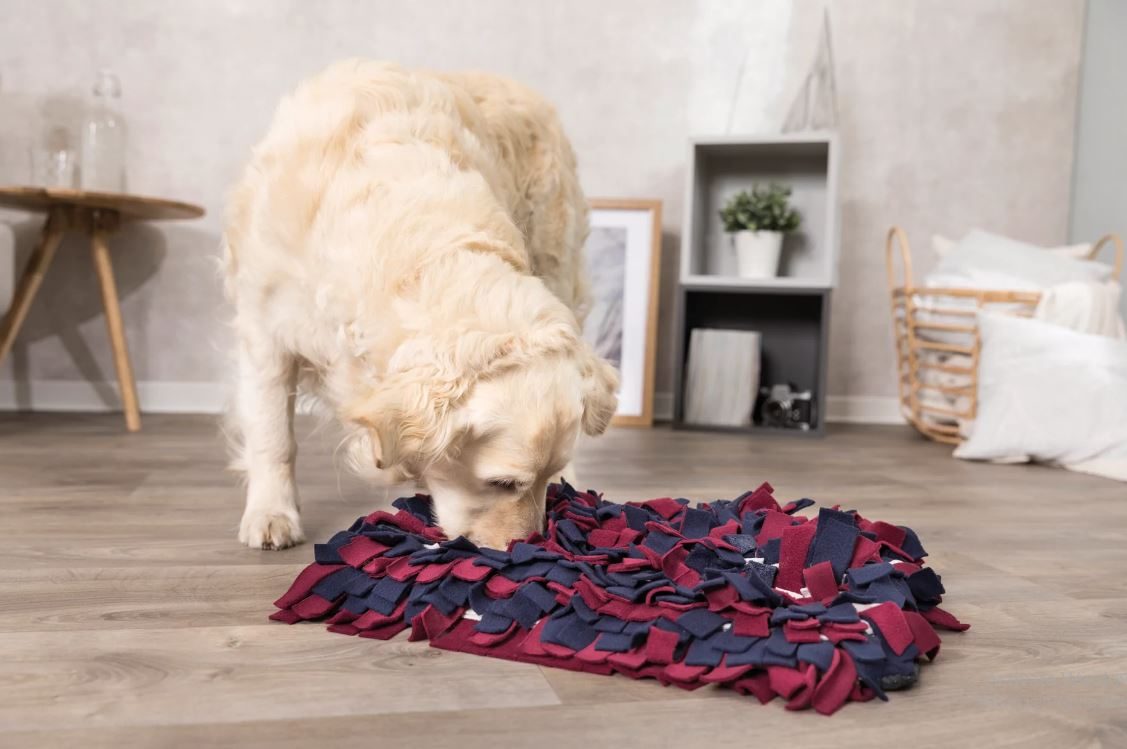 Dog Lick Mat Recipe Ideas For Your Dog!