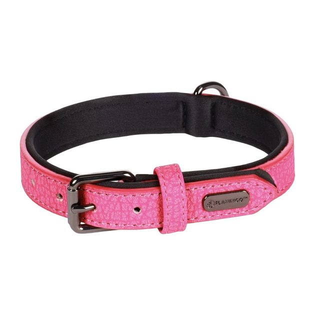 Collar for dog, retractable collar, antipull, light collars Reedog.eu