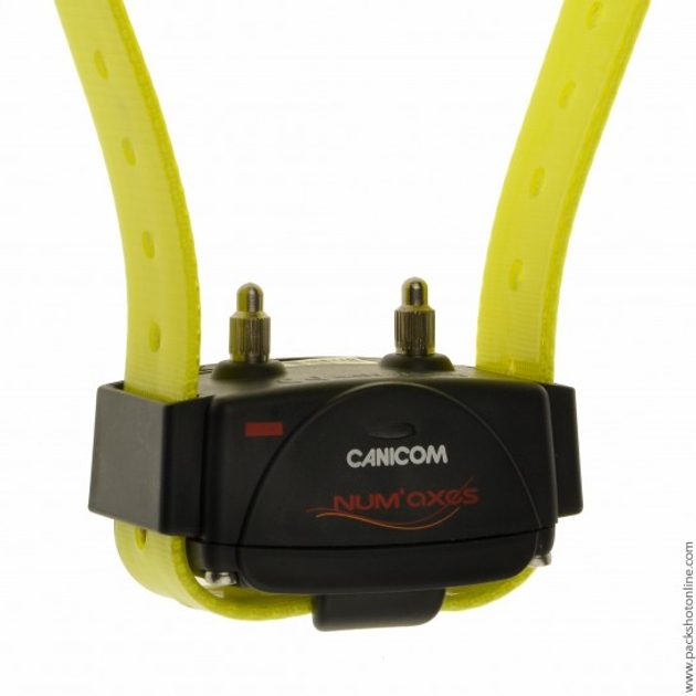 Canicom 800 - Set for 2 dogs - Training collars - Reedog.eu