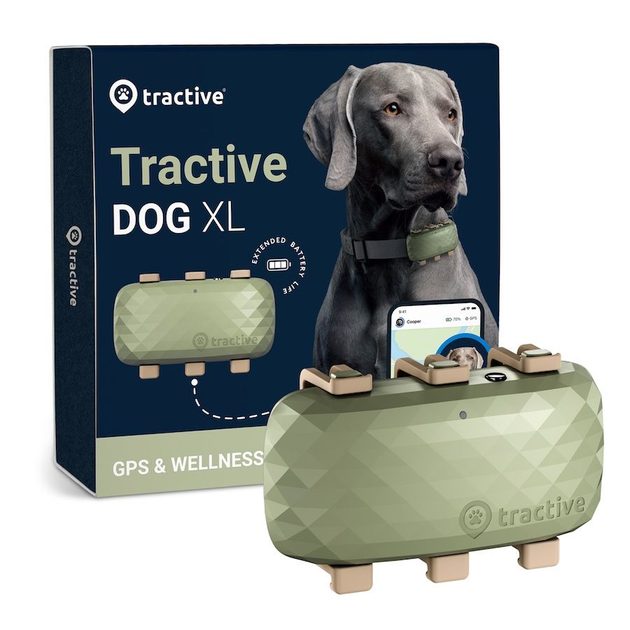 Tractive GPS DOG XL, green - Tractive - Reedog.eu