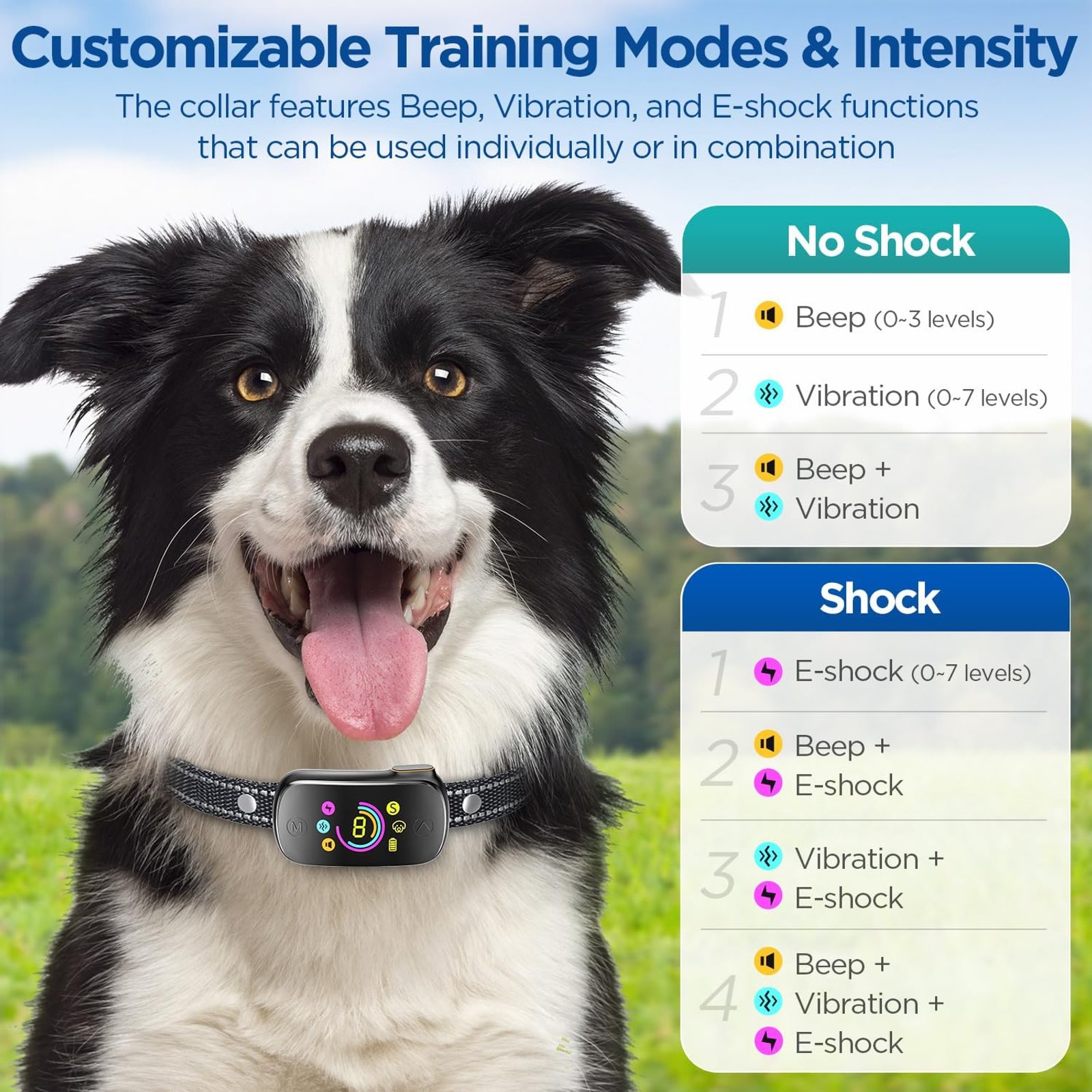 Reedog No Bark Smart Pro TC-006 - Erziehung - Reedog.de