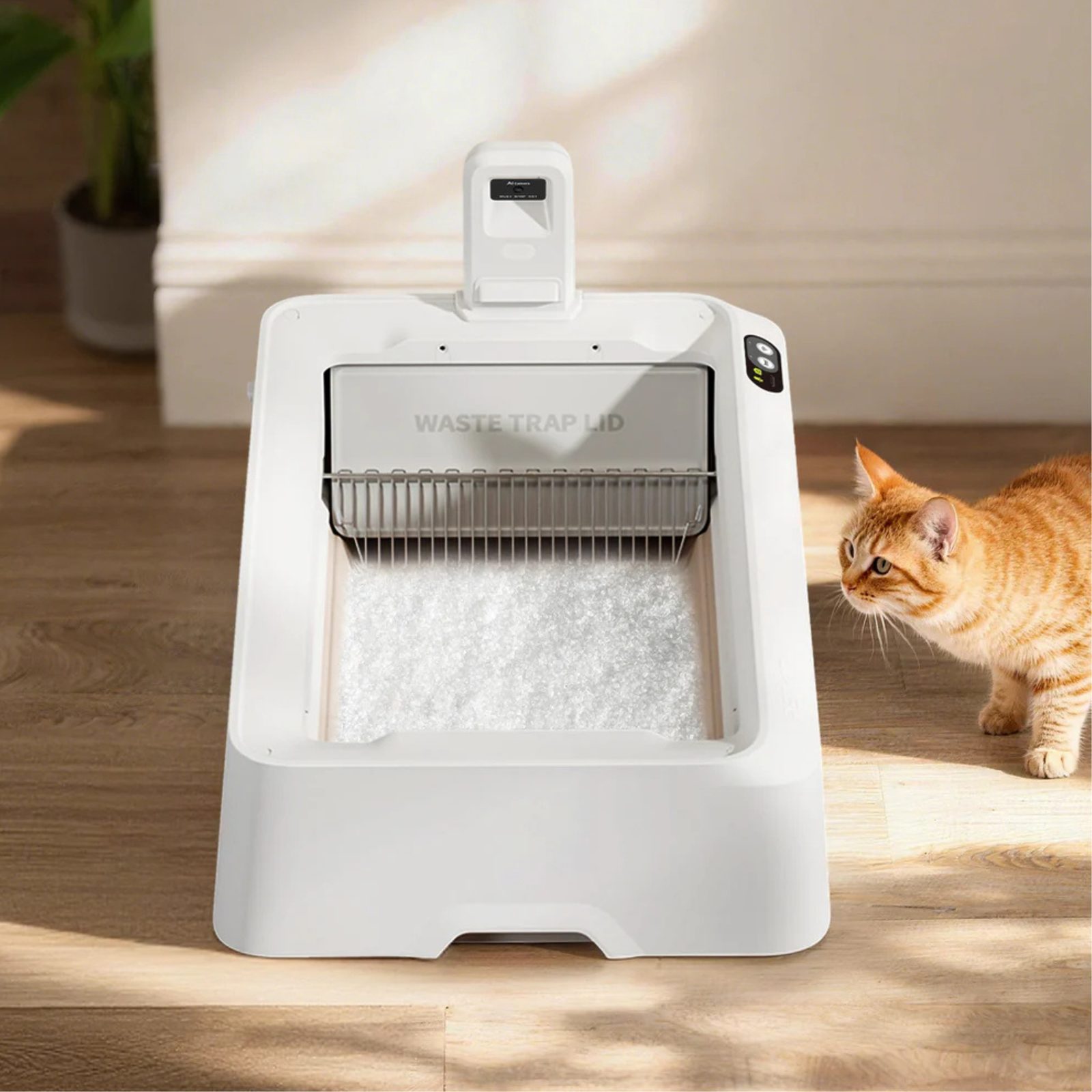 Petkit Purobot Crystal Duo with Hood - SmartPet - Reedog.eu