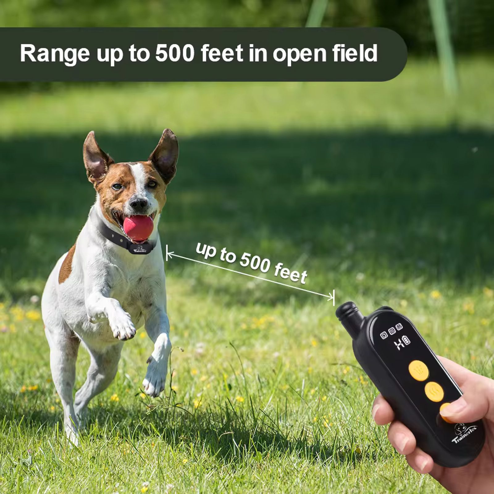 Reedog SP32 - Erziehung - Reedog.de