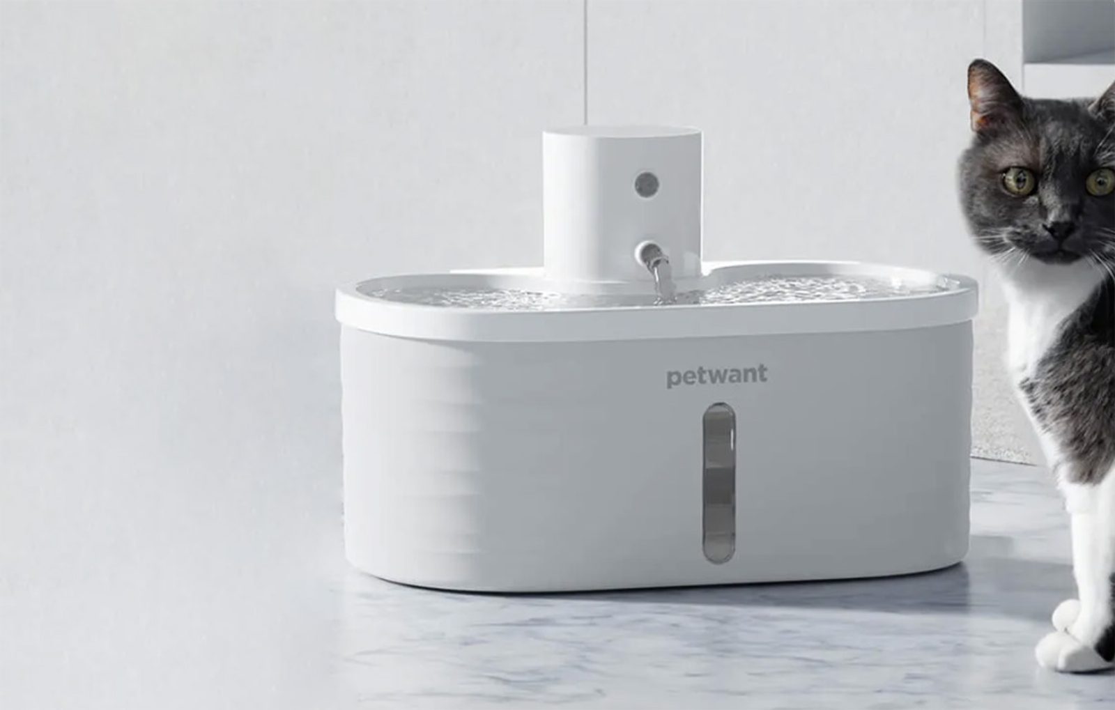 Petwant W4 fountain - Pet Supplies - Reedog.eu