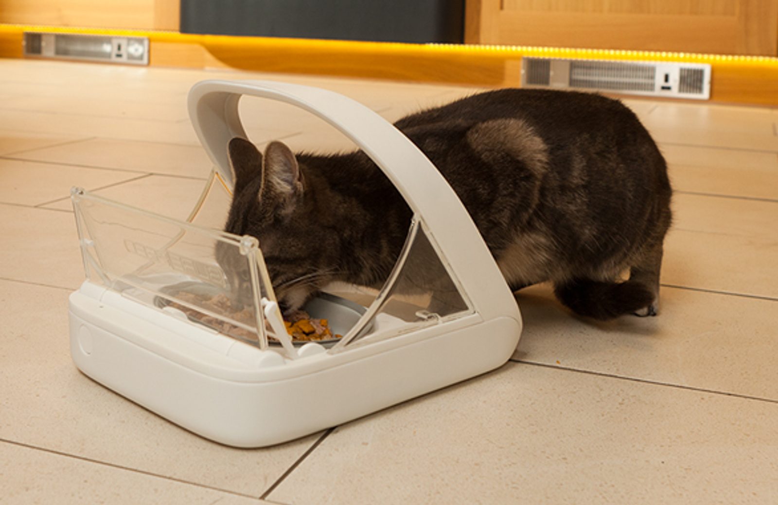 Chip Microchip Automatic Cat Feeder Microchip Activated Cat Feeder