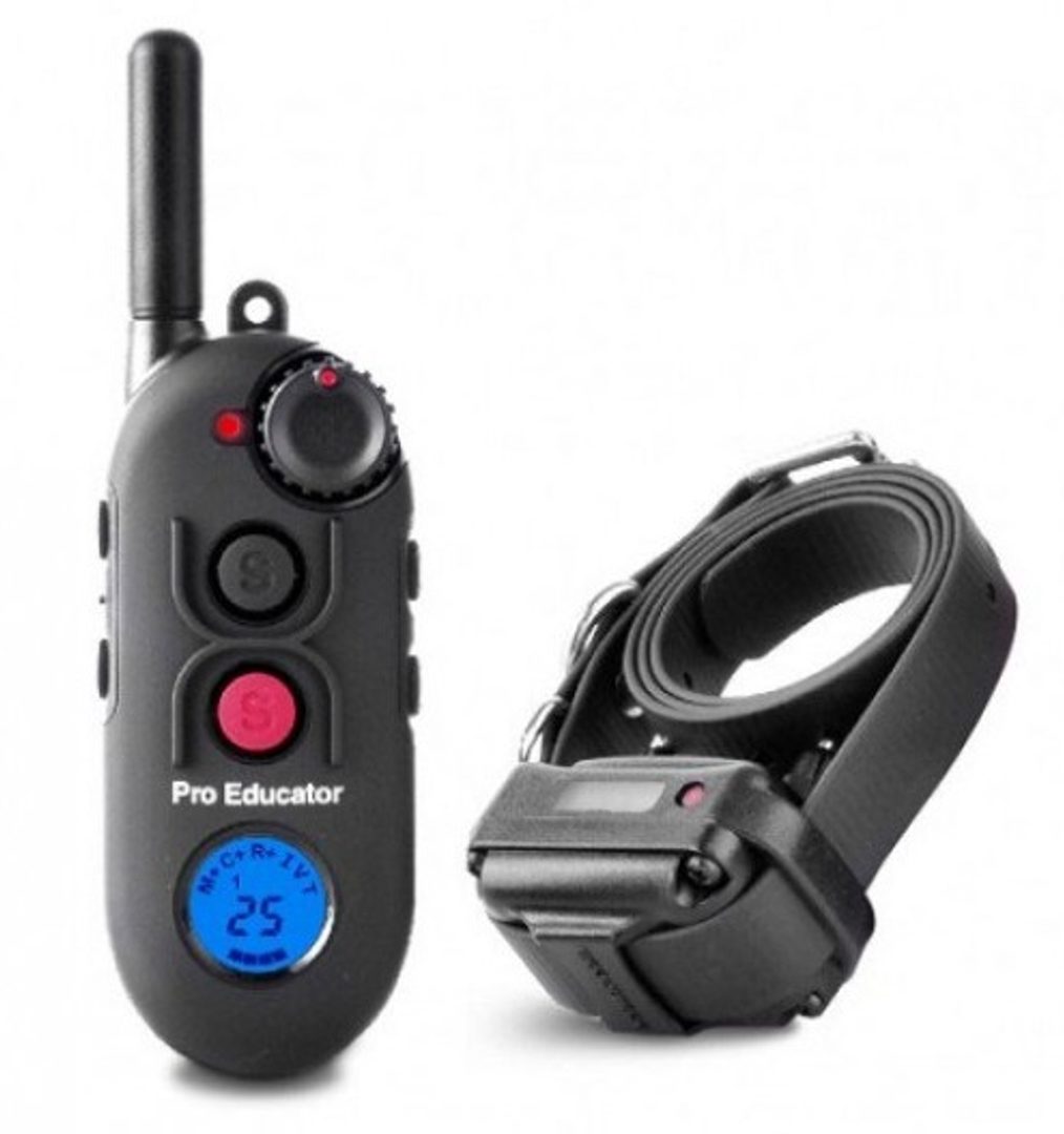 Pro educator collar online