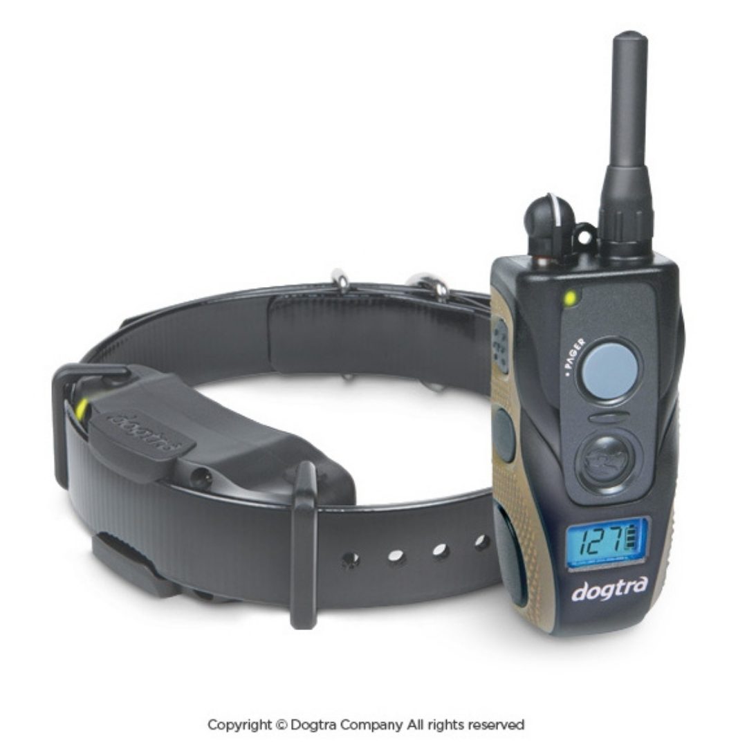 Problems with dogtra collars hotsell