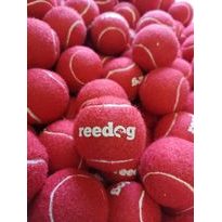Reedog tenisový míček pro psa - M