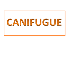 Canifugue