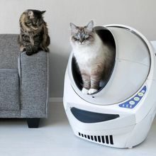 Litter-Robot III automatic self-cleaning litter box for cats with extended warranty