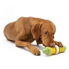 Spielzeug für Hunde PetSafe Busy Buddy Corncob