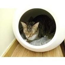 Petkit Cozy inteligentne legowisko dla kotów z termoregulacją