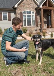 PetSafe Smart Dog kiképző nyakörv