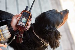 GPS pro psy GARMIN vs. TRACKER – Kdo z koho? Dozvíte se u nás!