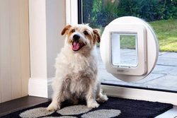 Türen für Hunde und Katzen sparen Ihnen Wärme und Zeit!