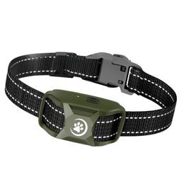 Reedog RS11 collar and receiver