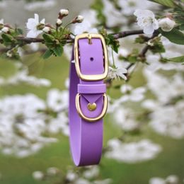 Halsband Bura lila Furry tale