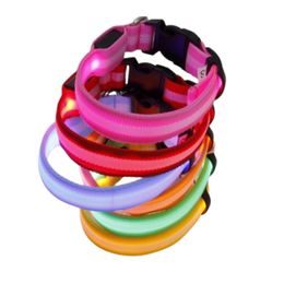 Reedog zgardă USB luminoasă pentru câini și pisici NEW