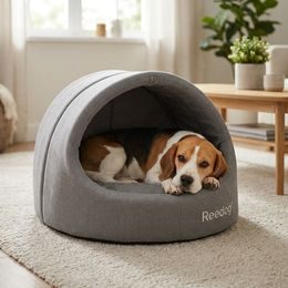 Petwant Multicolor Light-Up Collar