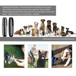 Reedog Transporttasche Tube Schwarz Oxford