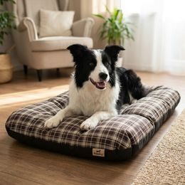 Reedog Senza Basic smycz automatyczna S 15kg / 5m linka / niebieska