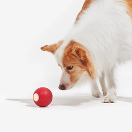 Petkit magnetischer Staubschutz 3.0