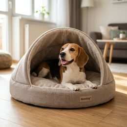 Dogtrace d-control easy mini