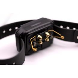 Halsband und Empfänger Patpet 681