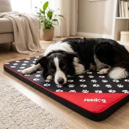 Alfombrilla para perro Reedog Thin Black Paw