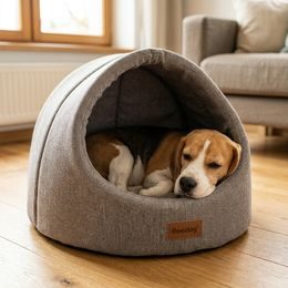 Reedog pamlsky pro psy Losos a arktický Krill