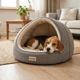 Šampon pro psy Animology Hair of the Dog, 250ml