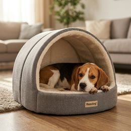 SureFlap door with microchip for cats