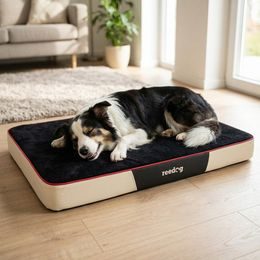 Colchón para perro Reedog Plus Black de pana