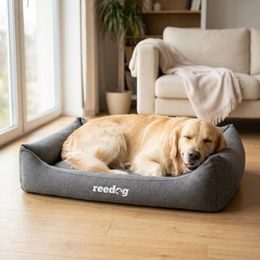 Reedog Pad Thin Brown Bones