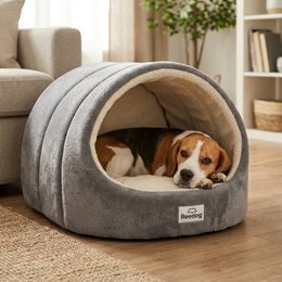 Reedog pamlsky pro psy Losos a arktický Krill