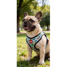 Amiplay Katzengeschirr mit Leine Samba Schwarz