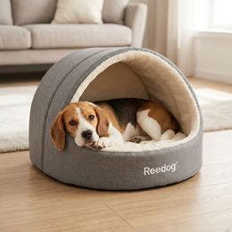 Dogtrace d-control easy mini