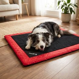 Matrac para perros Reedog Grand Light Brown