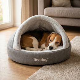 PetSafe® Stay + Play