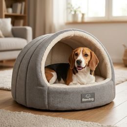 Cheerble Wicked Ball Rolly