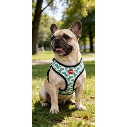 Amiplay Katzengeschirr mit Leine Samba Schwarz